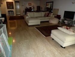 Sommerville Park (D10), Condominium #553865271